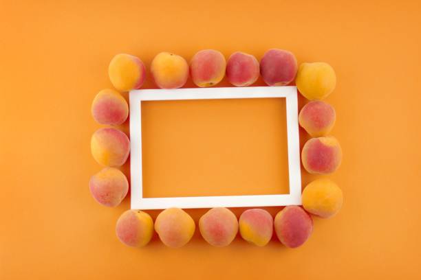 Apricots fruit. frame of ripe apricots on a orange background.frame and fresh fruit. Apricot season.top view, copy space