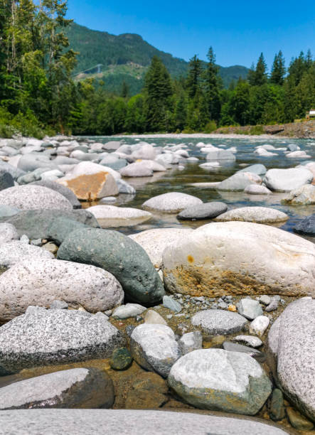 istock Beautiful River Stream Runs over River Rock and through a Forest 1152551047