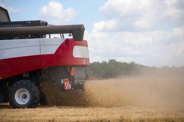istock combine harvester working on a wheat field. 1152551770