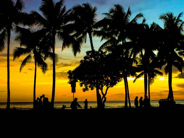 istock Colorful sunset at waikiki beach whit some palms in front 1152553548