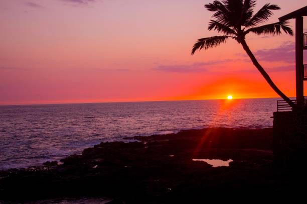 istock Colorful sunset whit a palm 1152553559