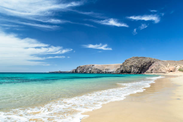 папагайо, бирюзовый водный пляж в лансароте - lanzarote стоковые фото и изображения