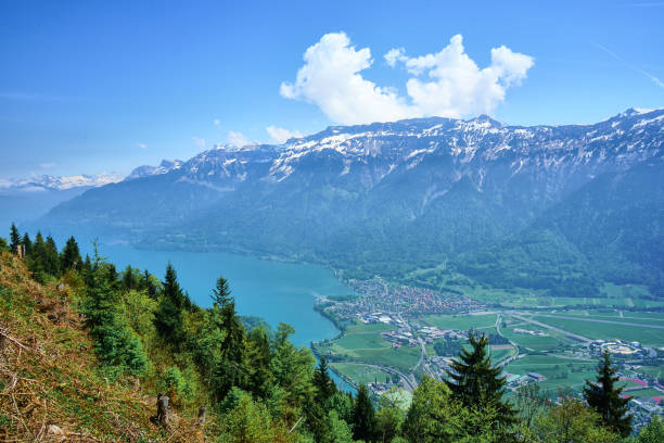 istock Nature of Switzerland 1152555841