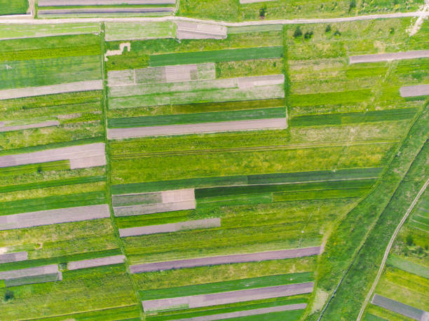 istock aerial view of farming fields 1152555870
