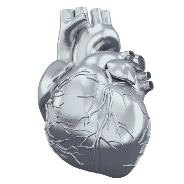 3D-Render-Darstellung des Herzens – Foto