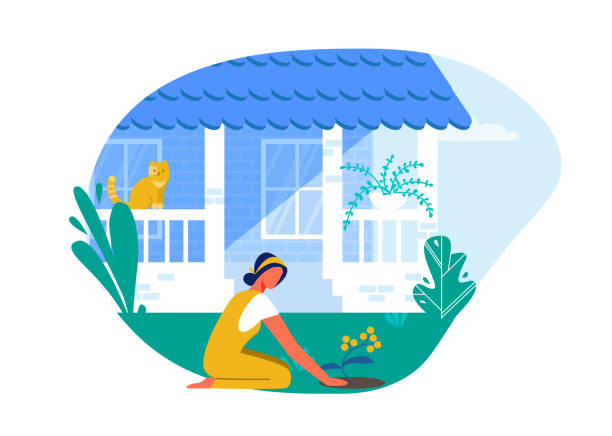 Woman Planting Flowers in Backyard near Home. Woman Planting Flowers in Backyard near Home Cartoon Flat Vector Illustration. Garden with Plants. Entrance to Private House. Cat Sitting on Fence and Looking at Girl who is on Grass. person sitting on fence stock illustrations