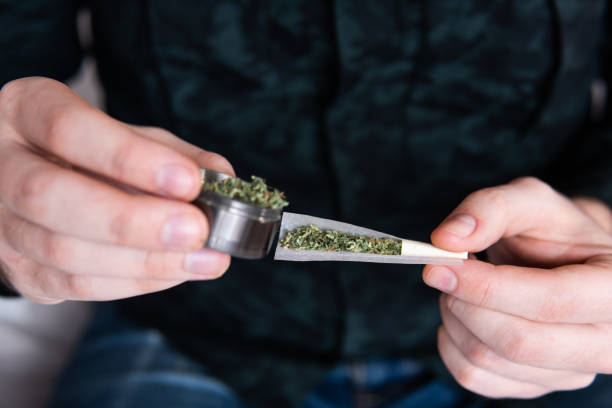 istock Close up . Drug use. Man preparing and rolling marijuana cannabis joint. Man rolling a marijuana joint. 1152559588