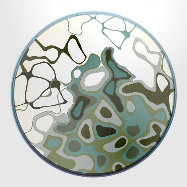 ilustraciones, imágenes clip art, dibujos animados e iconos de stock de plato de petri con agar y moho, hongos - petri dish bacterium virus laboratory