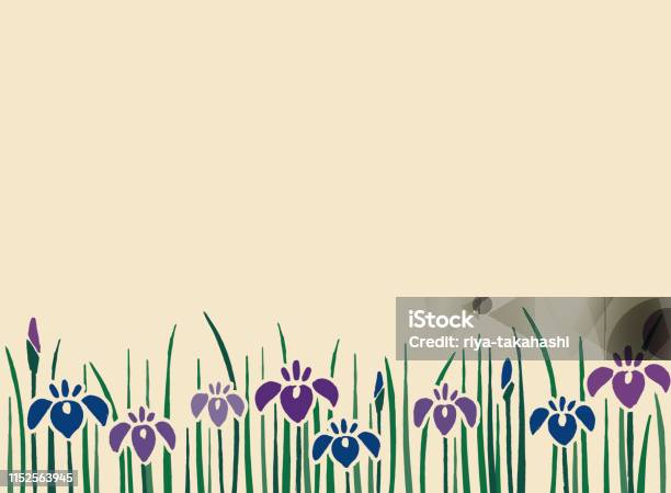 Japanese Traditional Flower Iris Design Background Stock Illustration - Download Image Now - Backgrounds, Blue, Copy Space