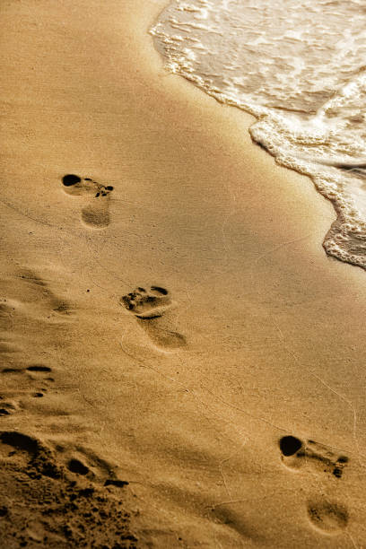 istock close up footprints on golden color sandy beach 1152567299