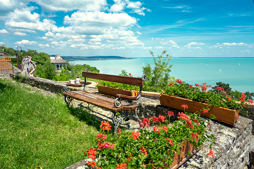 bench over the Lake Balaton Hungary with scenic view and geranium flower