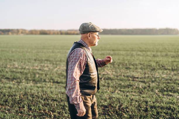 istock Adult farmer checking plants on his farm. 1152568485