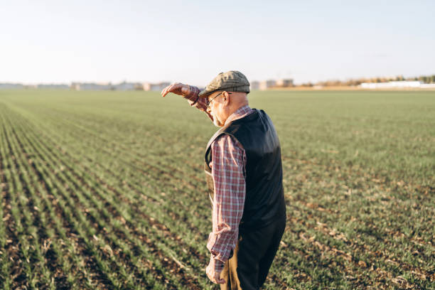 istock Adult farmer checking plants on his farm. 1152568486