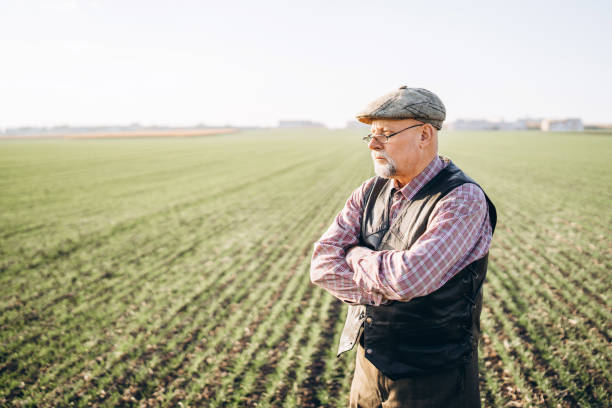 istock Adult farmer checking plants on his farm. 1152568501