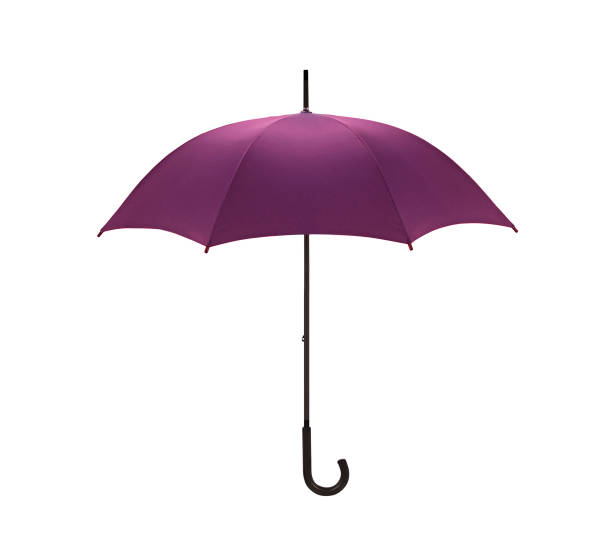 istock Umbrella - Violet isolated on white 1152569048