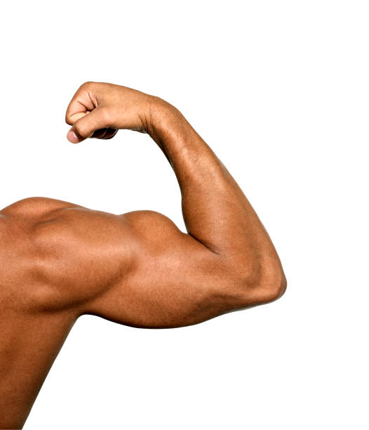 istock Close up of man's arm showing biceps 1152569082
