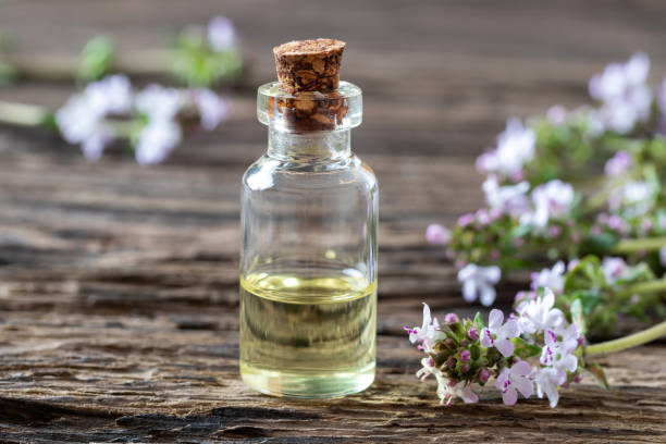 istock A bottle of thyme essential oil with fresh blooming thyme 1152570158