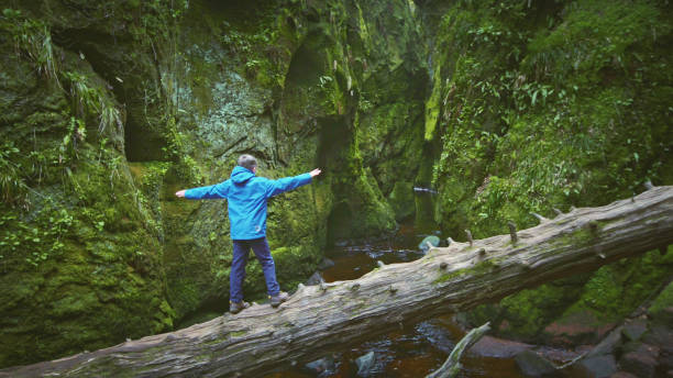 istock Mountain ravine. Rocks covered with moss and brake 1152573244
