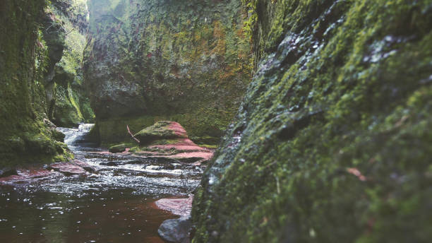 istock Mountain ravine. Rocks covered with moss and brake 1152573245