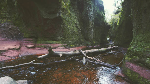 istock Mountain ravine. Rocks covered with moss and brake 1152573267