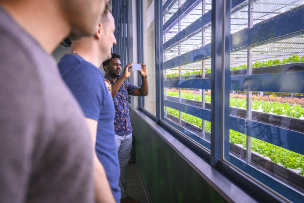 istock Visitors at Vertical Farm Viewing Racks of Cultivated Plants 1152573334