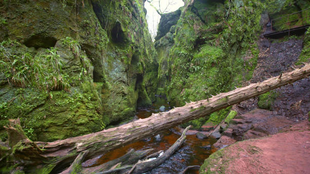 istock Mountain ravine. Rocks covered with moss and brake 1152573364