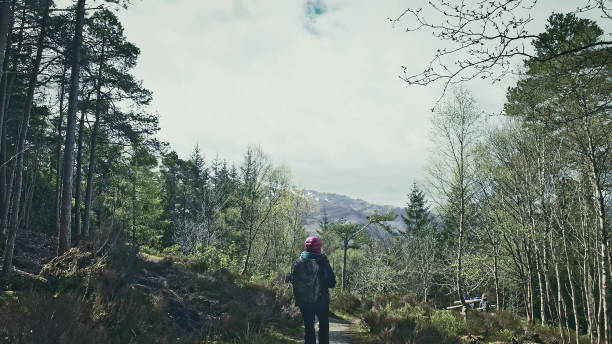 istock Embracing nature - woman enjoying view. Forest walk 1152573686