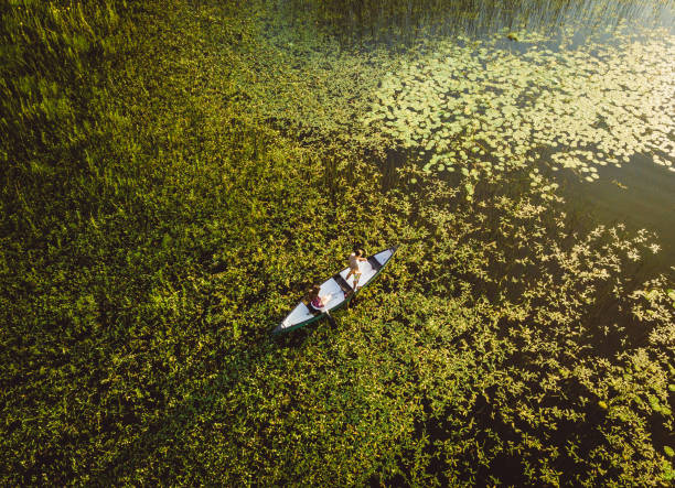 istock Young Couple Canoeing on the Lake 1152575865