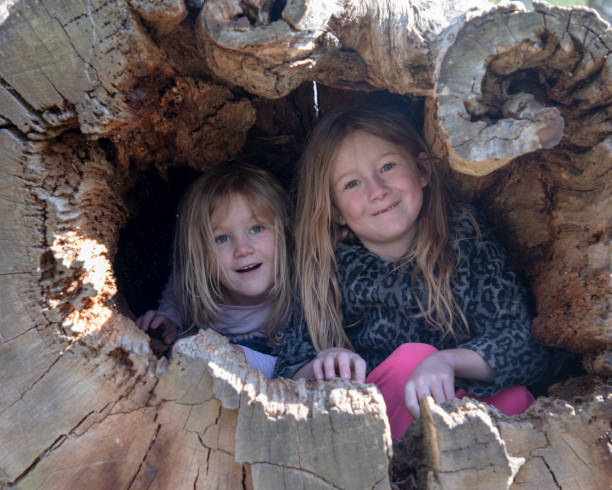 istock two cute blonde girls playing outdoors in a park. they sit inside a large old tree. 1152580413