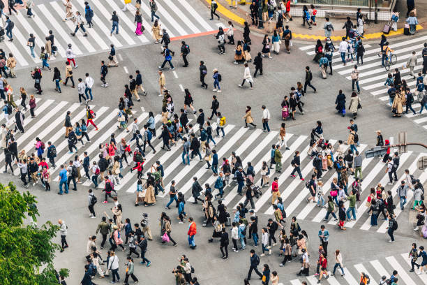 shibuya crossing, tóquio, japão - crossing - fotografias e filmes do acervo