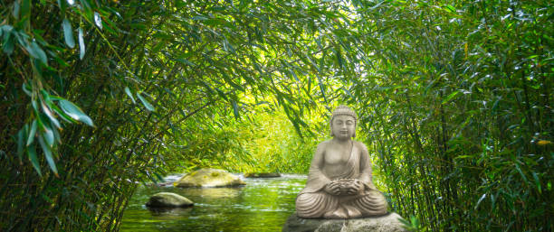 istock bamboo, stones and water and buddha statue 1152586234