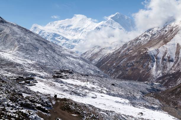 View of Annapurna III and Gangnapurna from Jharsang Khola Valley, Annapurna Circuit, Manang, Nepal stock photo