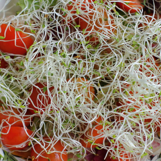 istock fresh healthy salad with micro greens and tomato cherry, macro, close up 1152594125