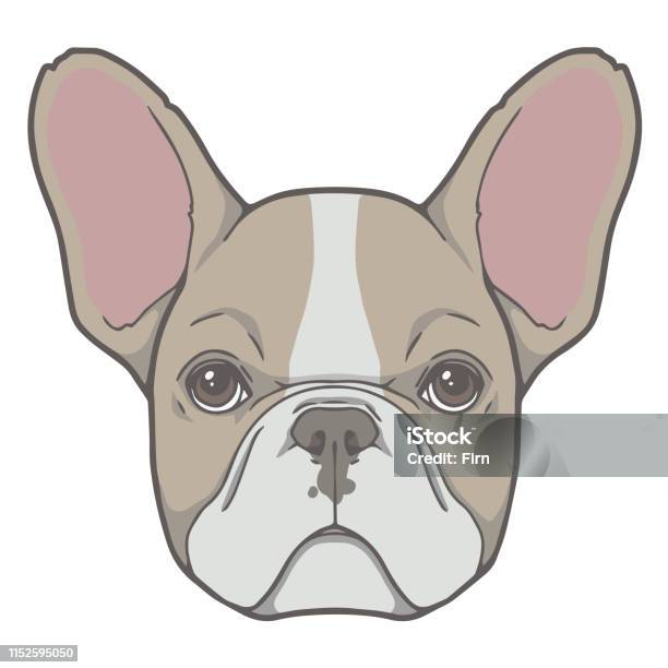 Vector Face Illustration Of A Red Pied French Bulldog Dog Stock Illustration - Download Image Now