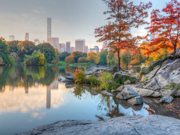istock At the lake in Central Park 1152595432