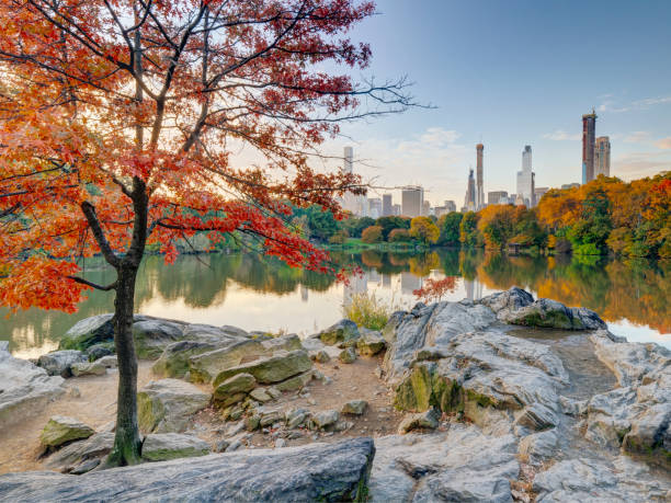 istock At the lake in Central Park 1152595518