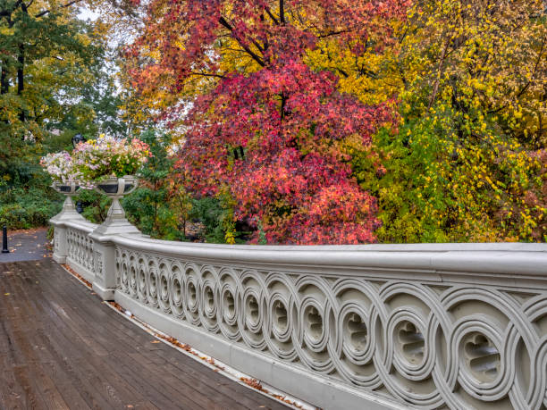 istock Bow bridge,Central Park, New York Cit 1152595542