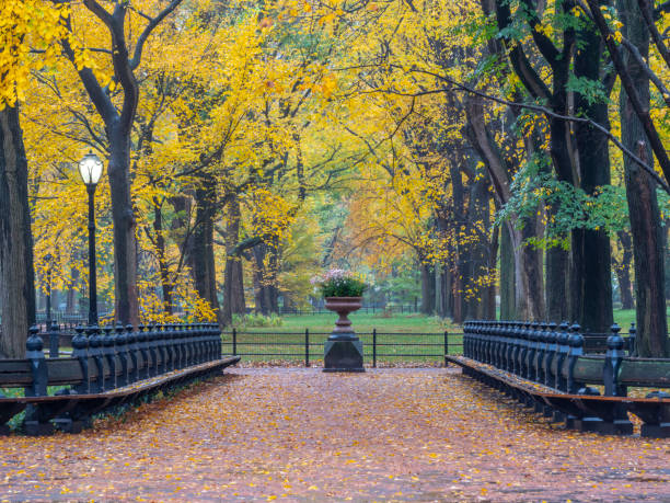 istock Central Park Mall late autumn 1152596317