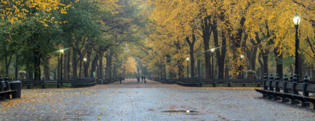 istock Central Park Mall late autumn 1152596350
