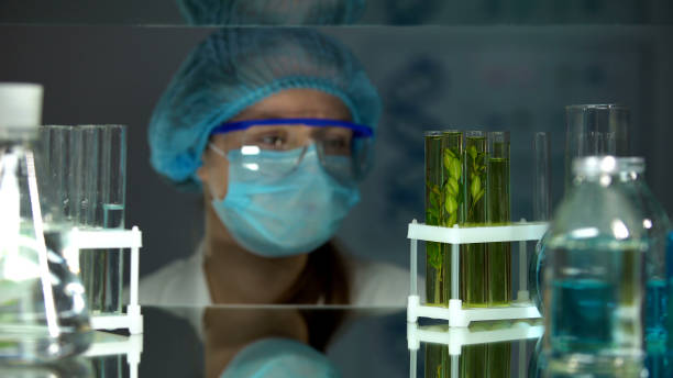 istock Scientist observing green plants growth in test tubes, biological experiment 1152598129