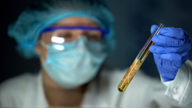 Vet lab assistant looking at meat sample in yellow liquid, swine flu analysis Vet lab assistant looking at meat sample in yellow liquid, swine flu analysis heart worm stock pictures, royalty-free photos & images