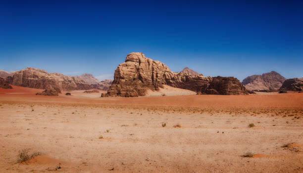 landschaft am wadi rum (jordanien) - jordan camel wadi rum arabia stock-fotos und bilder