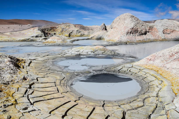 i geysirs del sole mattina all'altiplano (bolivia) - geyser nature south america scenics foto e immagini stock