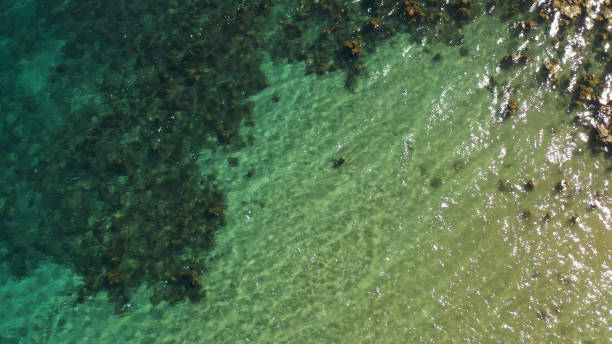 istock tropical landscape with blue sea and coral reef 1152600292