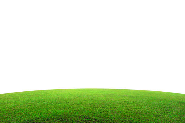 campo de césped verde en la montaña aislada sobre fondo blanco. preciosos pastizales con pendiente. (trazado de recorte) - mountain pastures fotografías e imágenes de stock