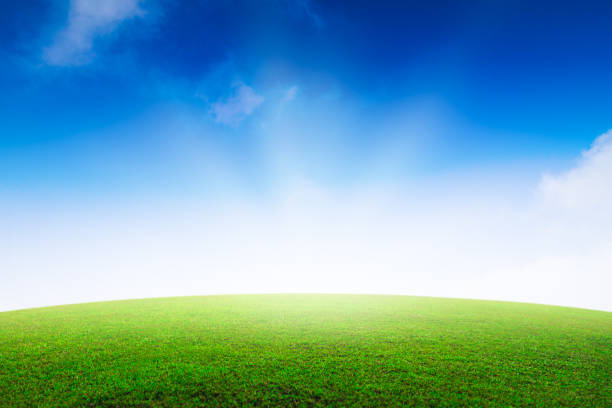 istock Green grass field on mountain and nice sky background. Beautiful grassland backdrops with summer concept. 1152600491