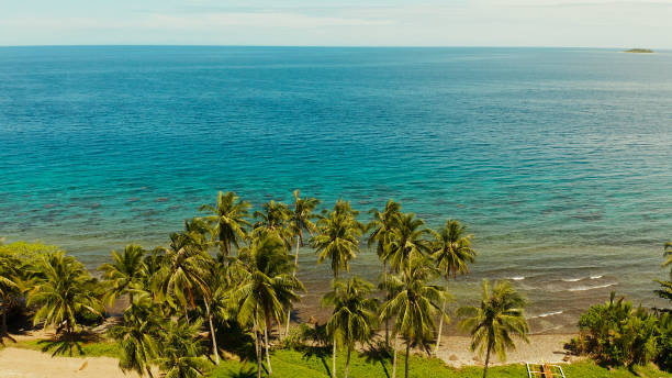 istock Landscape with coconut trees and turquoise lagoon 1152601889