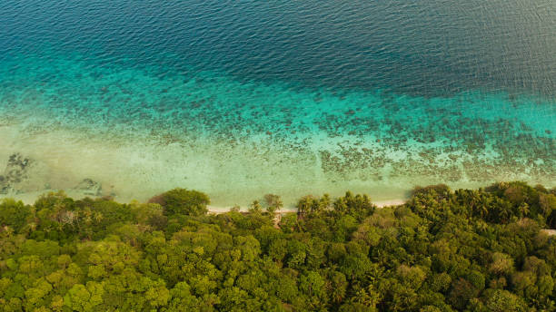 istock Landscape with coconut trees and turquoise lagoon 1152602579