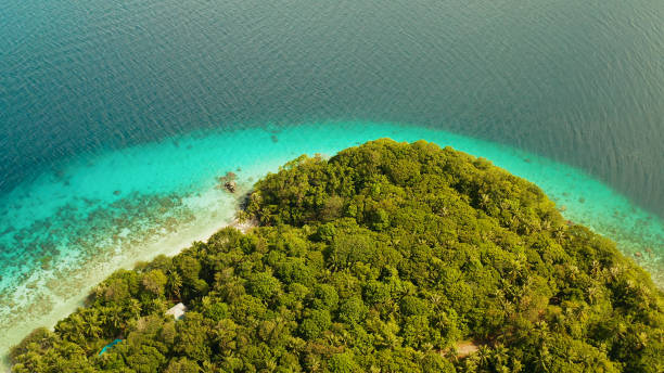 istock Landscape with coconut trees and turquoise lagoon 1152602657
