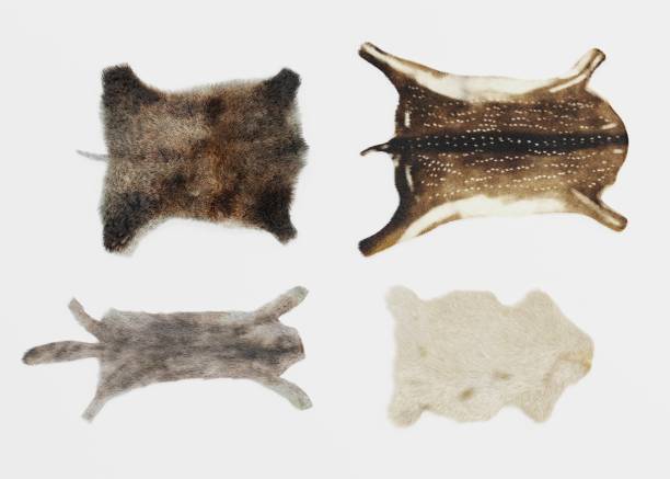 Realistic 3D Render of Animal Skins